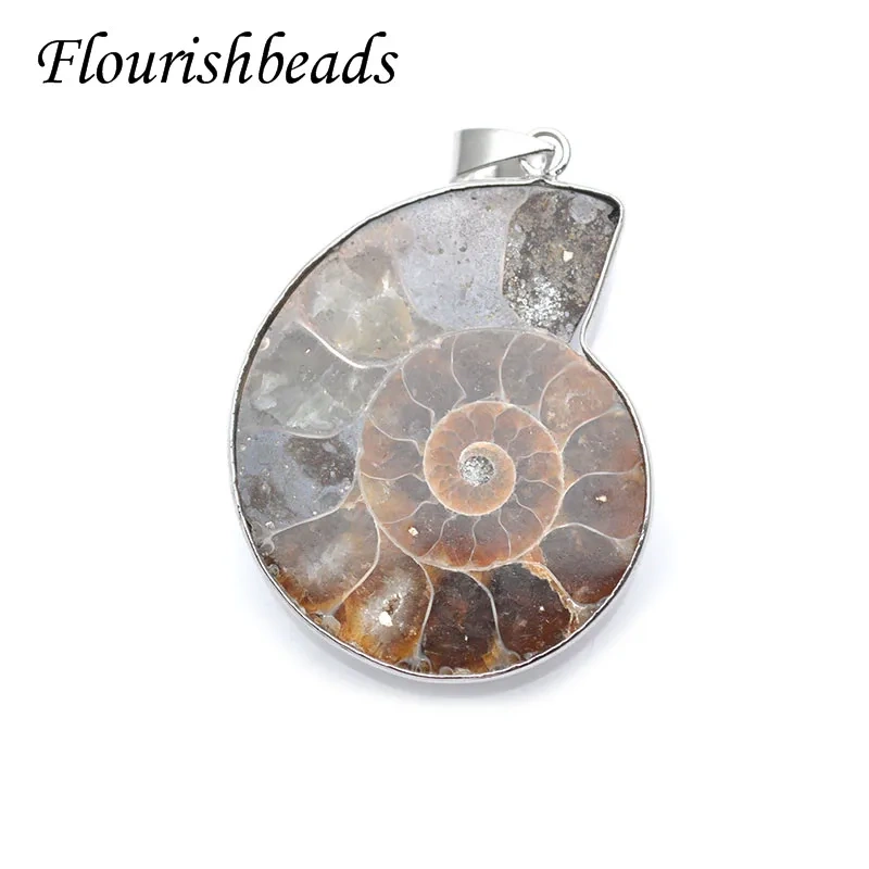 3 Size Quality Natural Ammolite Snail Shape Gemstone Stone Pendants DIY Jewelry Making 5pc Per Lot /lot