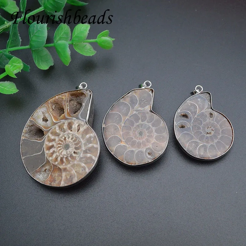 3 Size Quality Natural Ammolite Snail Shape Gemstone Stone Pendants DIY Jewelry Making 5pc Per Lot /lot