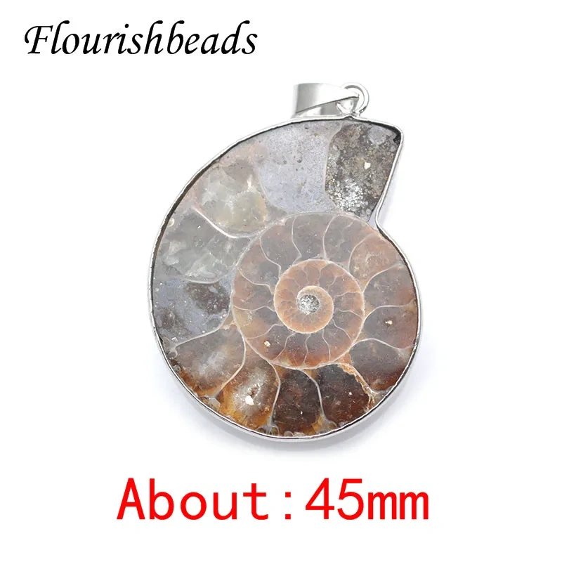 3 Size Quality Natural Ammolite Snail Shape Gemstone Stone Pendants DIY Jewelry Making 5pc Per Lot /lot