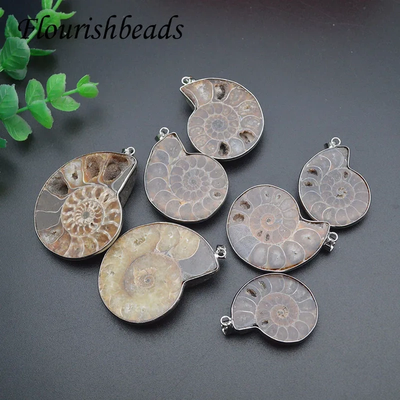 3 Size Quality Natural Ammolite Snail Shape Gemstone Stone Pendants DIY Jewelry Making 5pc Per Lot /lot