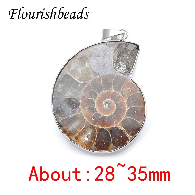 3 Size Quality Natural Ammolite Snail Shape Gemstone Stone Pendants DIY Jewelry Making 5pc Per Lot /lot