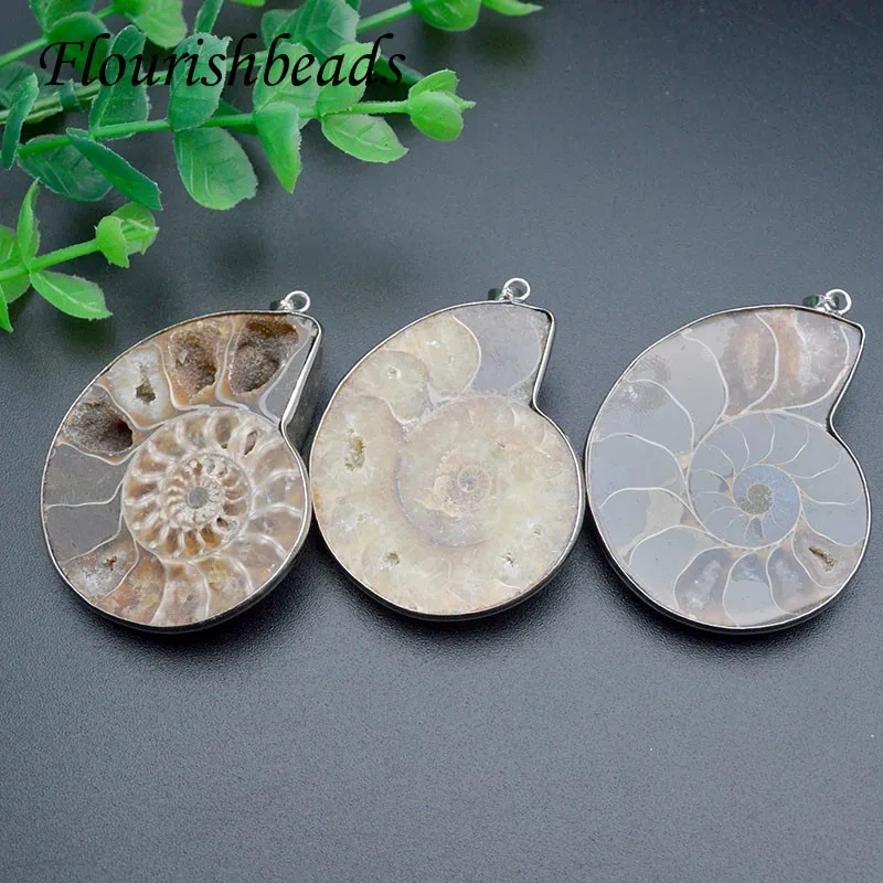 3 Size Quality Natural Ammolite Snail Shape Gemstone Stone Pendants DIY Jewelry Making 5pc Per Lot /lot