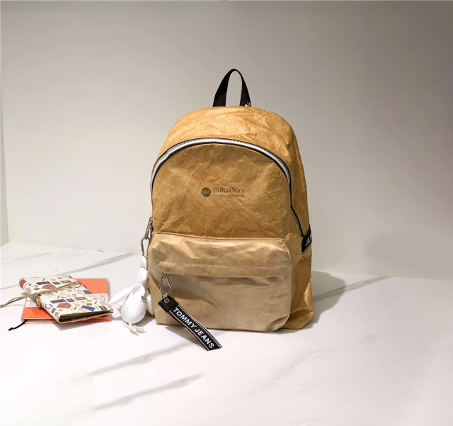 Minimalist Functional Backpack