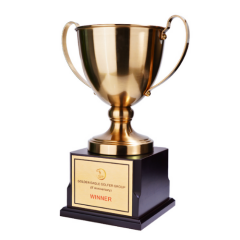 Bespoke Metal Trophy
