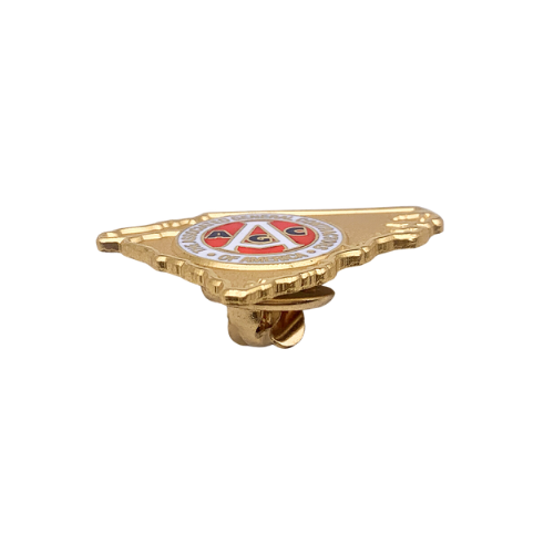 Bespoke Pin with Hard Enamel