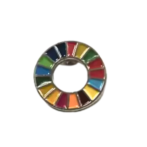 Bespoke Pin with Soft Enamel