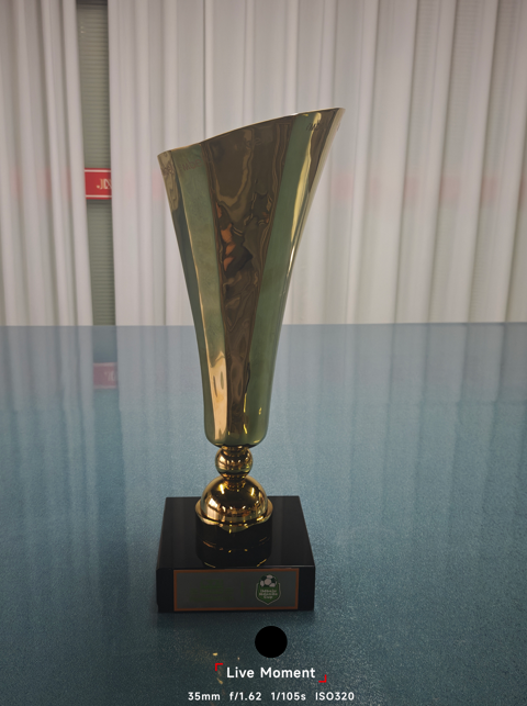 Bespoke metal trophy