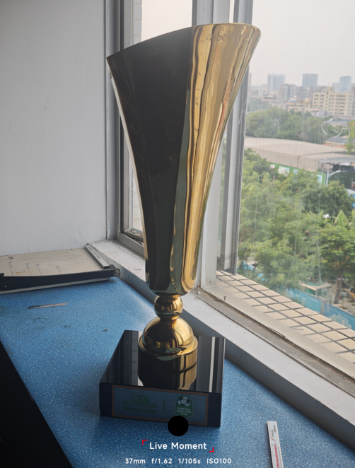 Bespoke metal trophy