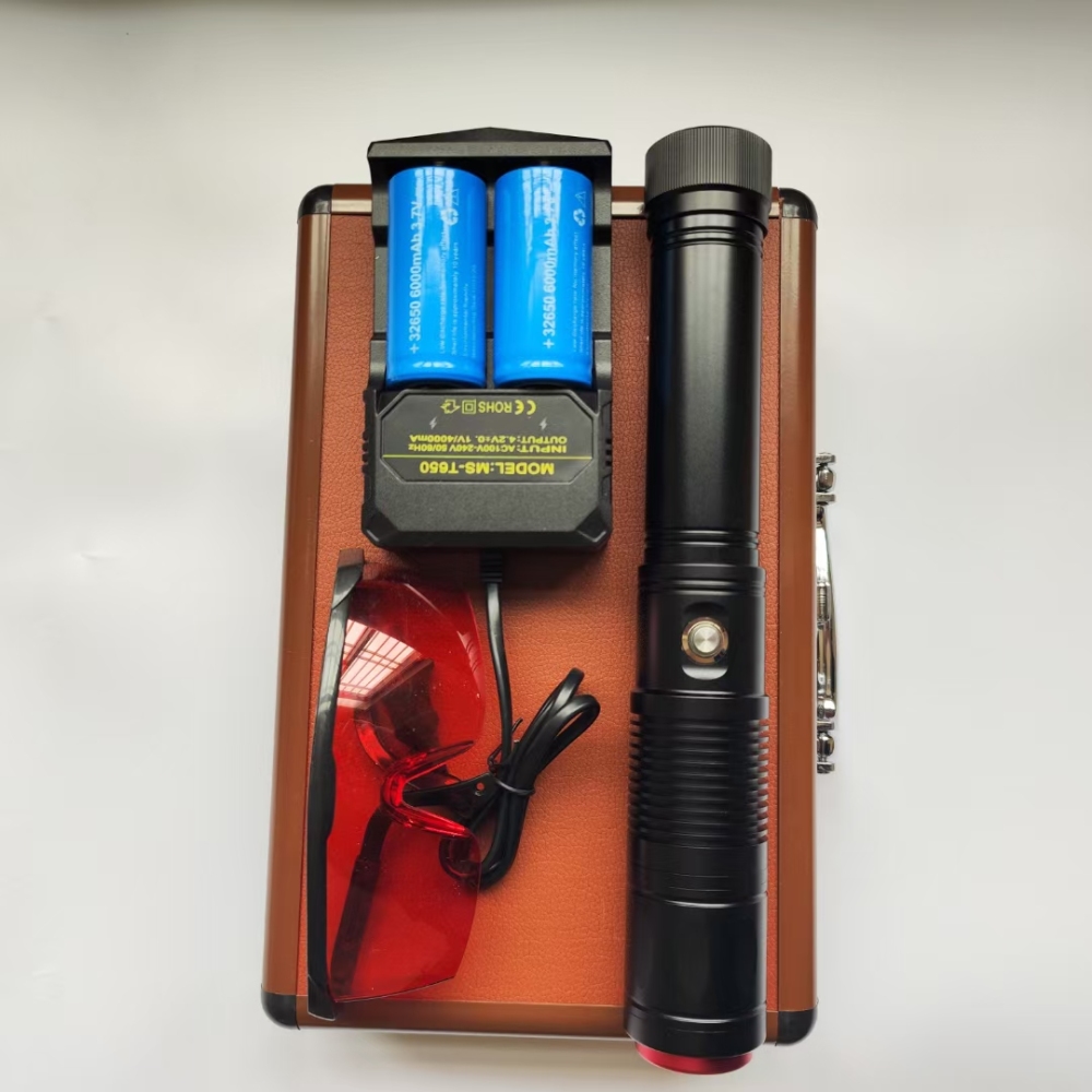 Techhood 450nm Blue Laser Pointer Strong Visible Beam Light Torch Lazer Pen Light B15000