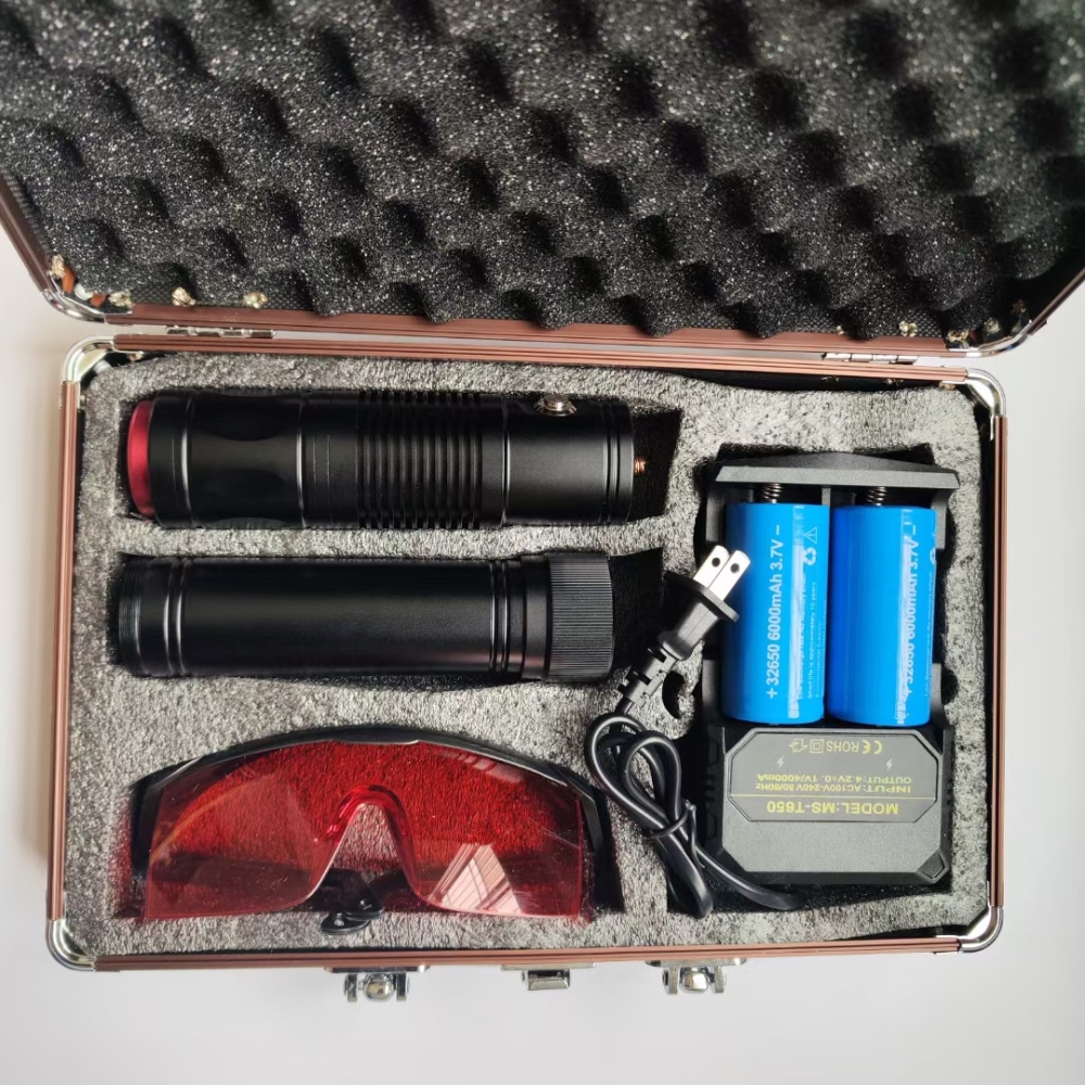 Techhood 450nm Blue Laser Pointer Strong Visible Beam Light Torch Lazer Pen Light B15000