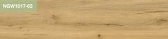 NGW1017-02