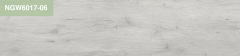 NGW6017-06