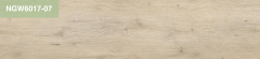 NGW6017-07