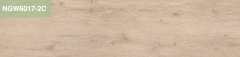 NGW6017-2C