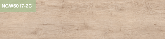 NGW6017-2C