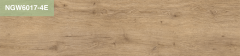 NGW6017-4E