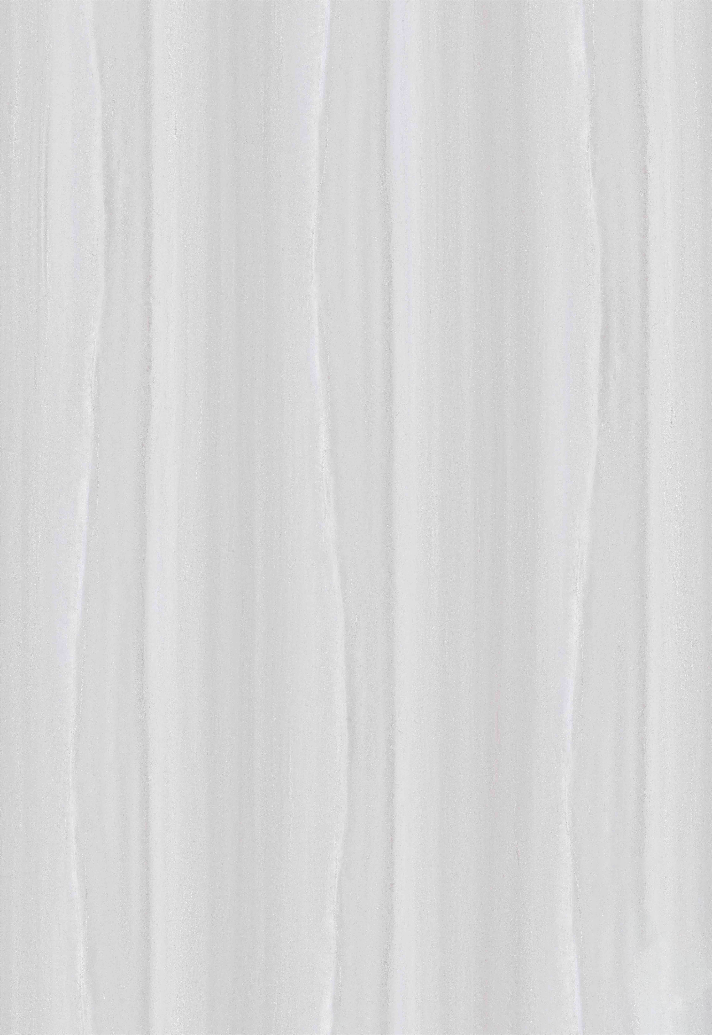 WSS006