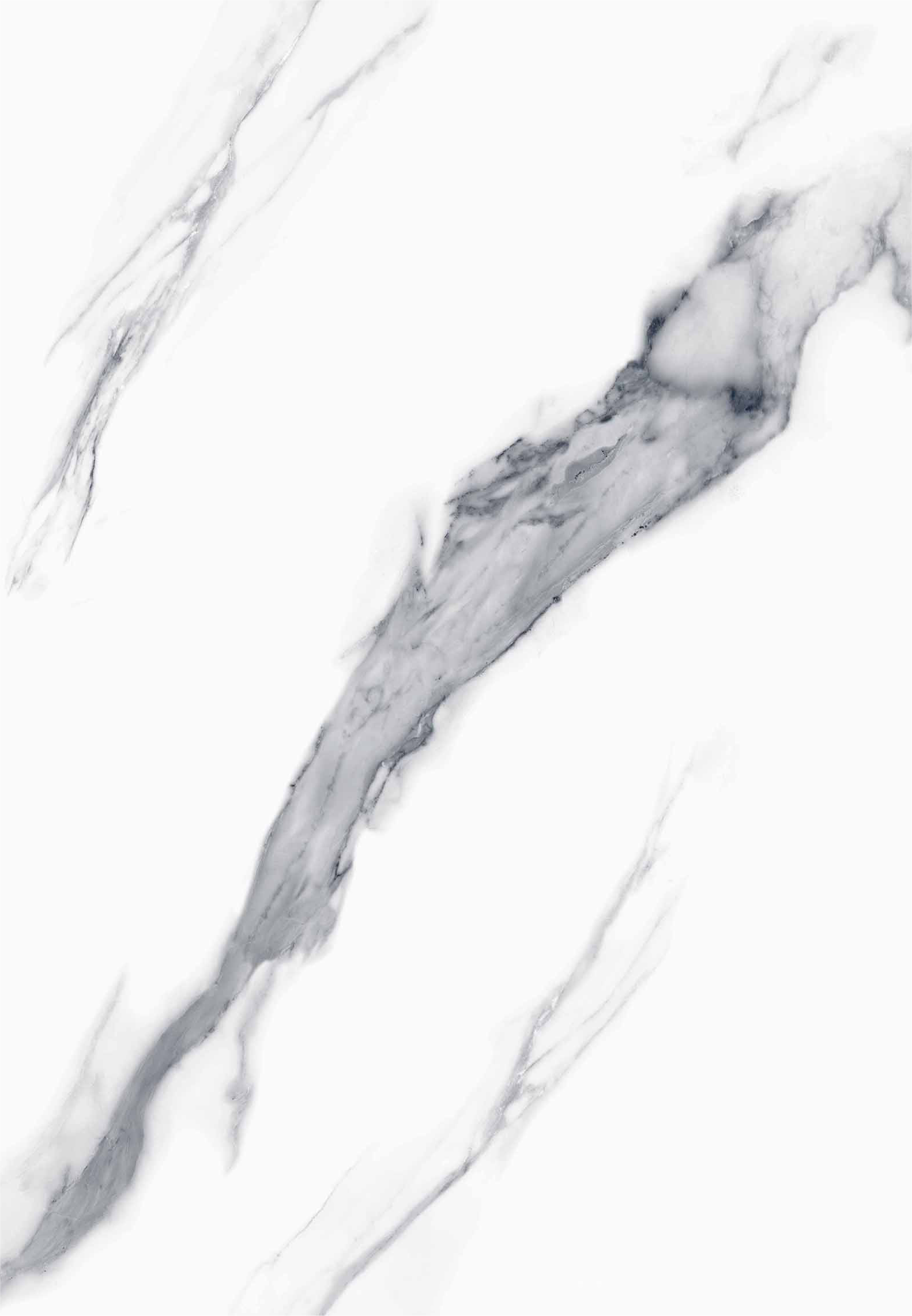 WSS009