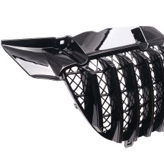 Kühlergrill glanz Schwarz GT Panamericana Grill Passend für Mercedes-Benz Sprinter W906 Vorfacelift Bj. bis 08.2013 mit Netz