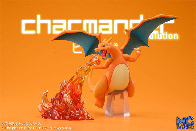 Charizard Family