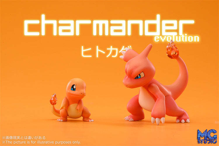 Charizard Family