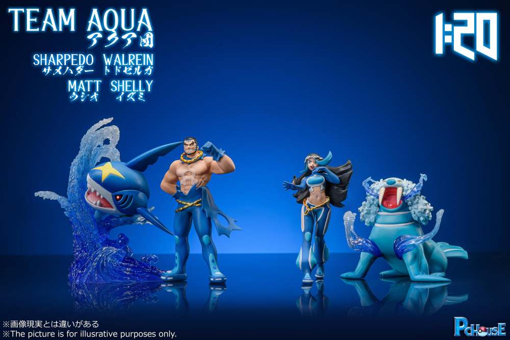 Pc House x DM Studio - Team Magmar x Team Aqua - Pokemon Scale World