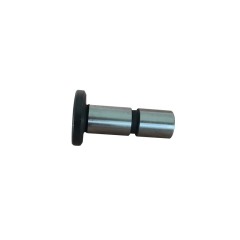roller tappet