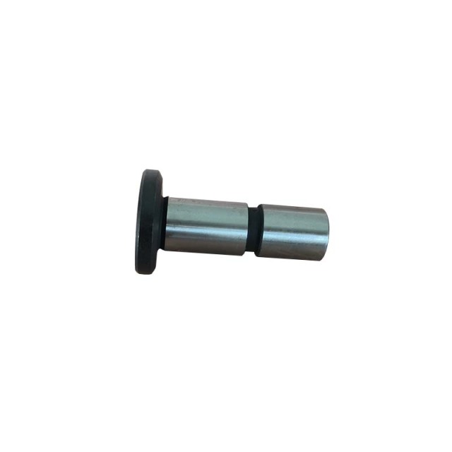 roller tappet
