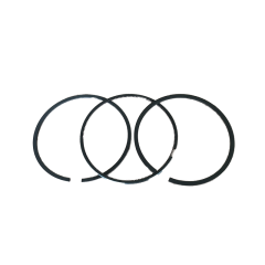 piston ring