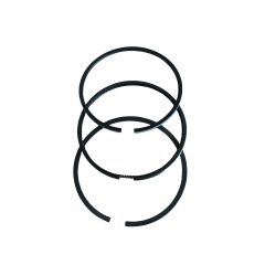 piston ring