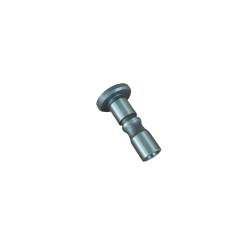 roller tappet