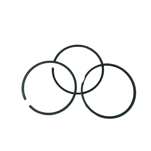 piston ring