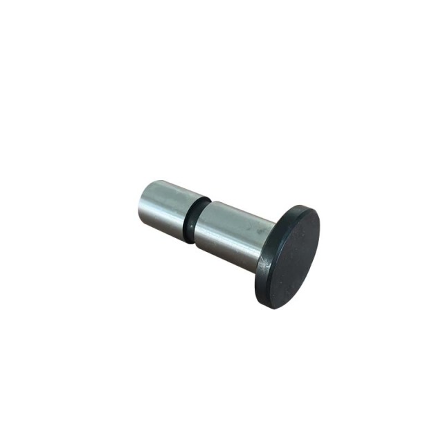 roller tappet