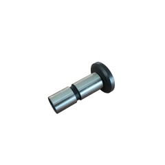 roller tappet