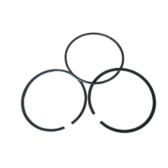 piston ring