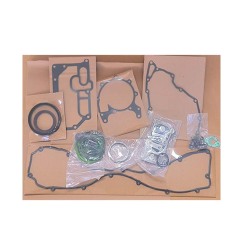 overhaul gasket set