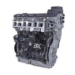 MAGOTAN 3.0 CNG