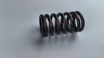 NT855 construction machinery diesel engine spare parts valve Spring for cummins 3081212