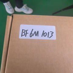BF6M1013
