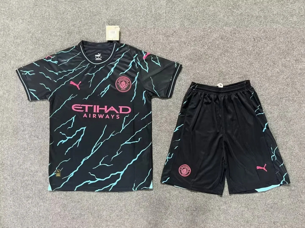 Adult     Manchester City Football Club Away 24/25  Short-sleeved Soccer Kit