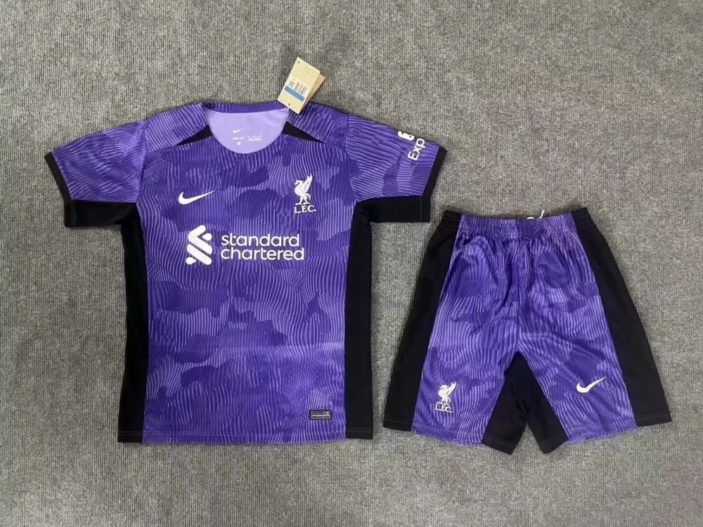 Adult   Liverpool Away and goalkeeper 24/25  Short-sleeved Soccer Kit