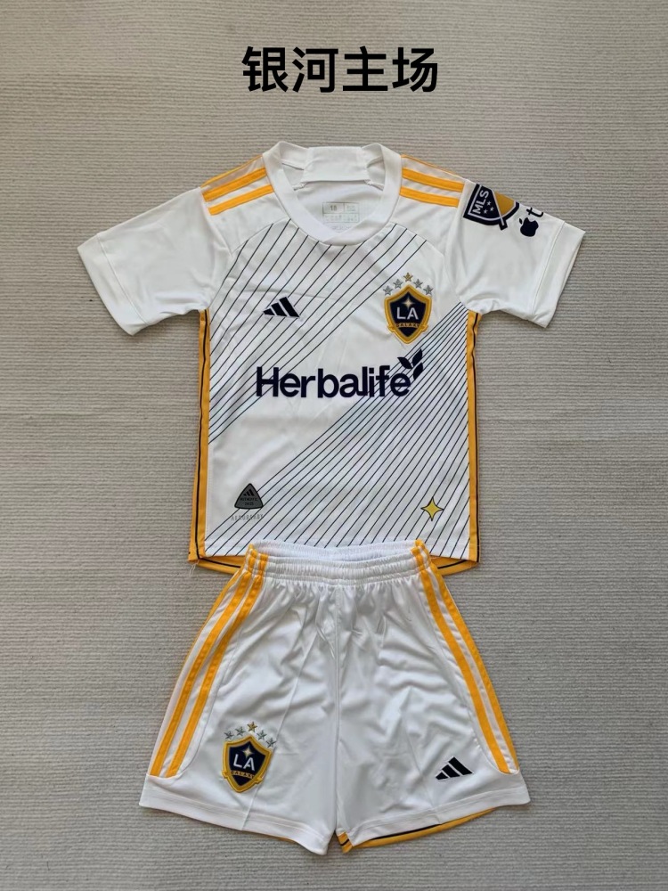 Adult   LA Galaxy Home 24/25  Short-sleeved Soccer Kit