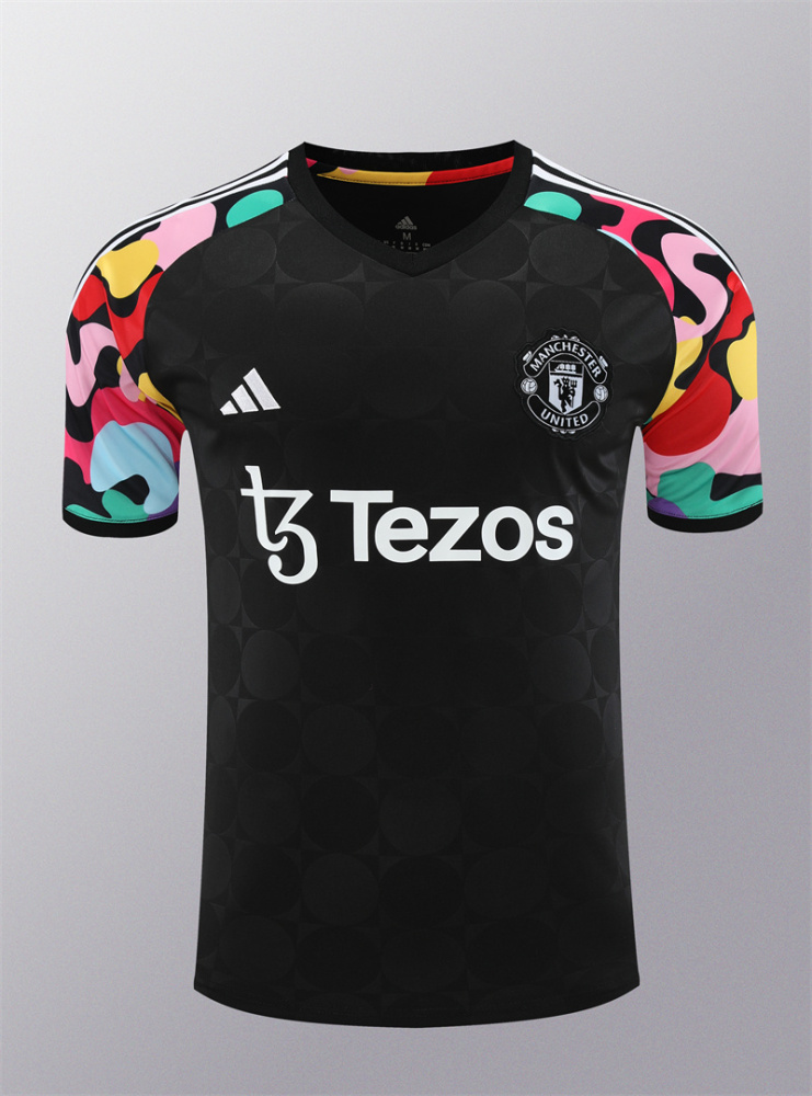 Manchester United T-shirt 24/25  Shirt Training