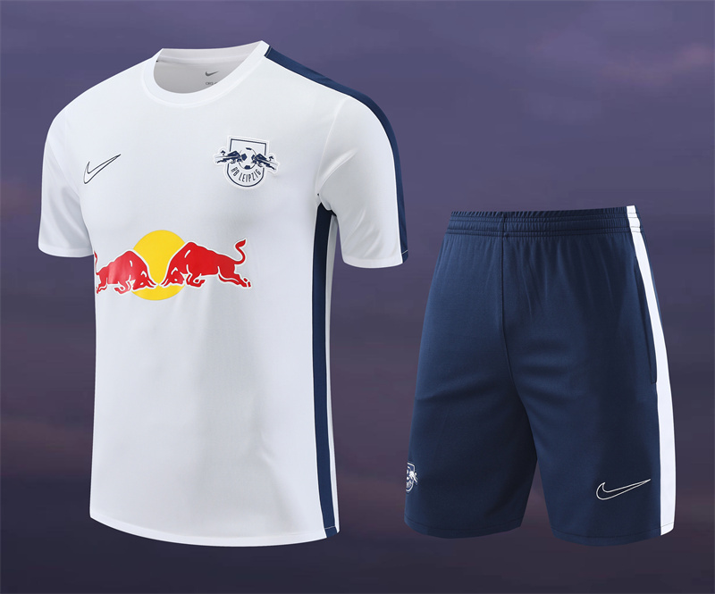 Leipzig  T-shirt  24/25  Shirt Training