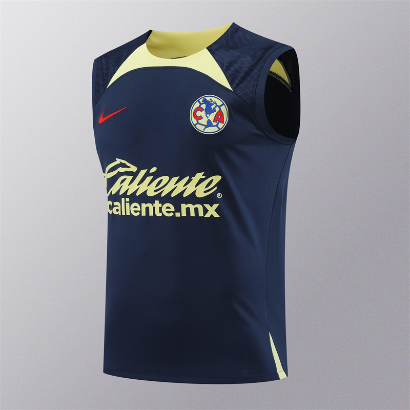 Mexico Cougar 24/25 Vest  Training Sets