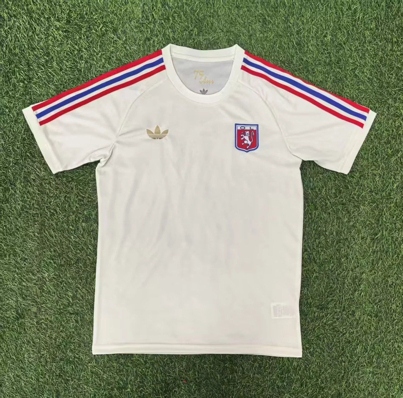 25-26 Olympique Lyonnais Jersey | thai version | Pre-match | short-sleeved | 416