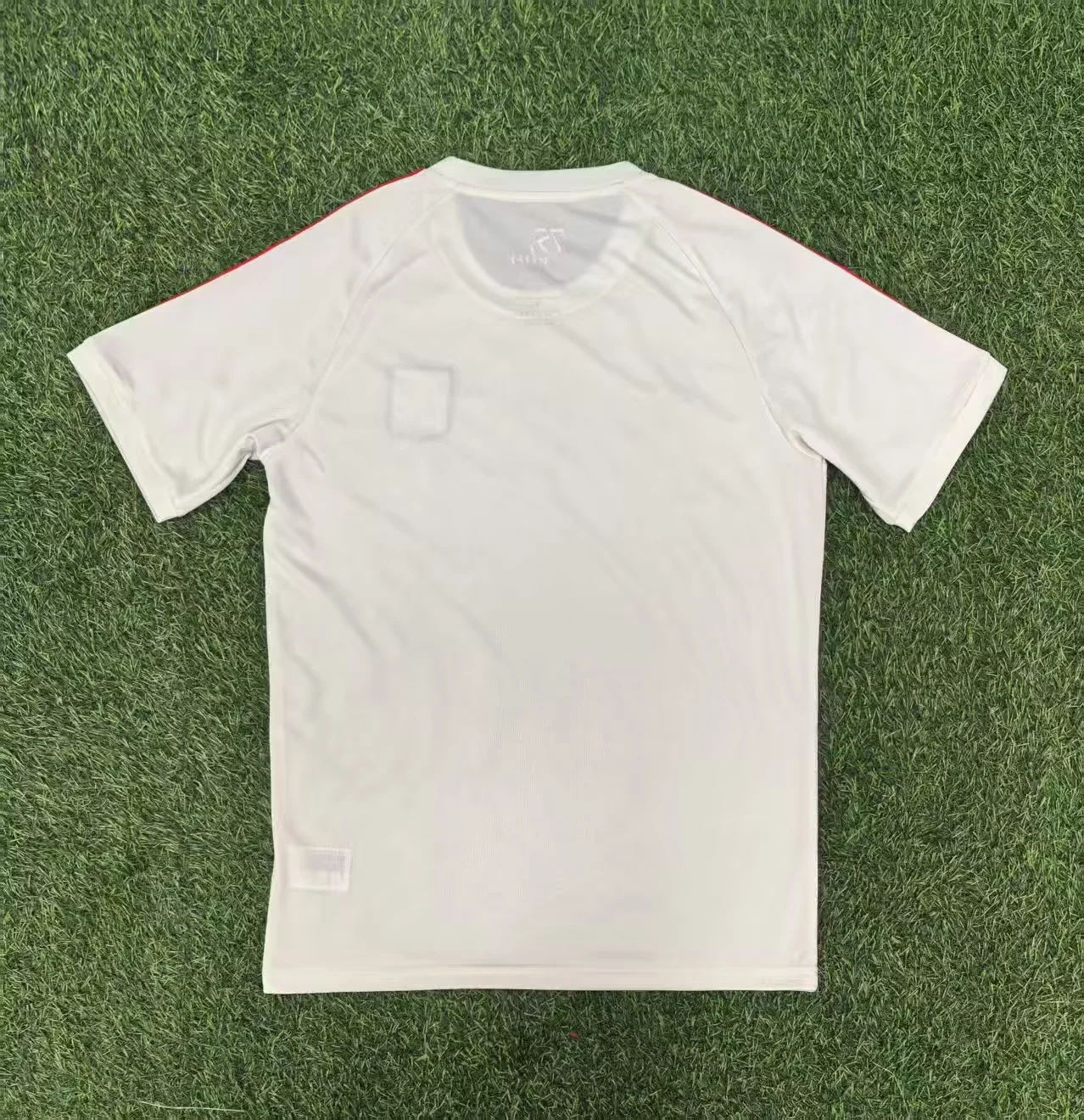 25-26 Olympique Lyonnais Jersey | thai version | Pre-match | short-sleeved | 416