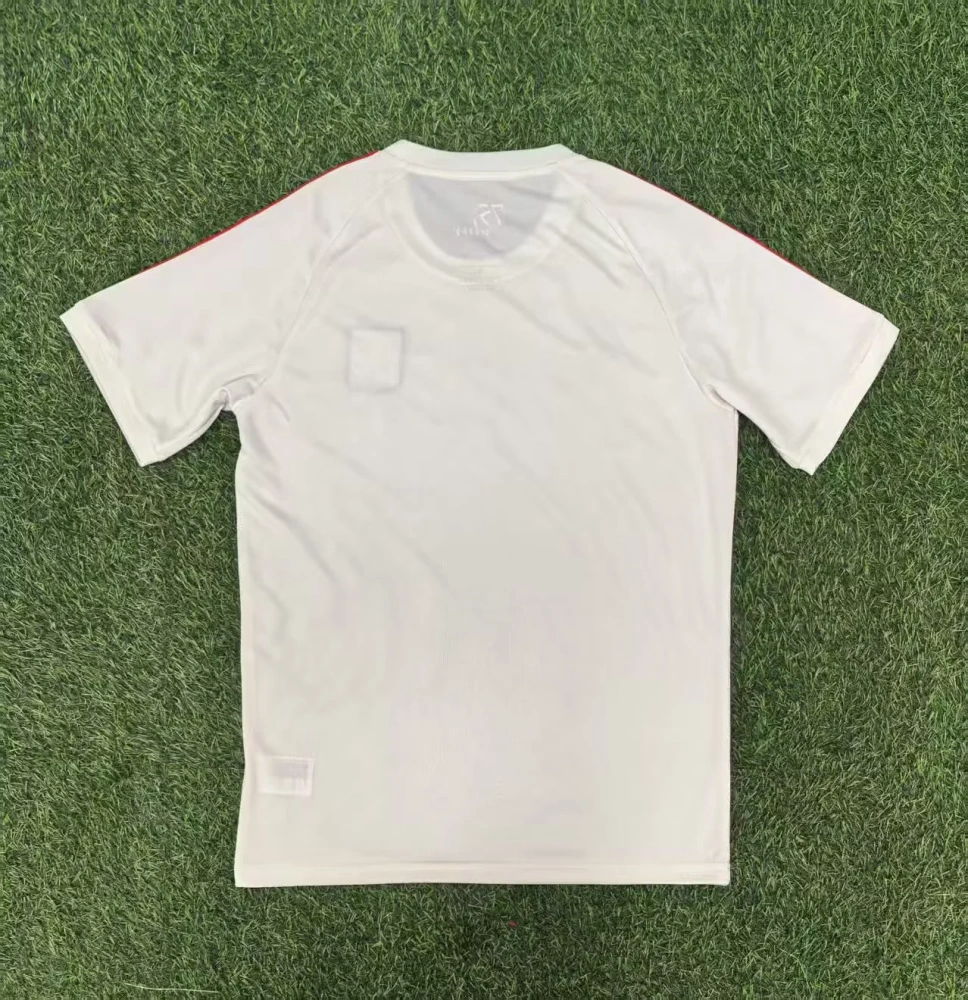 25-26 Olympique Lyonnais Jersey | thai version | Pre-match | short-sleeved | 416