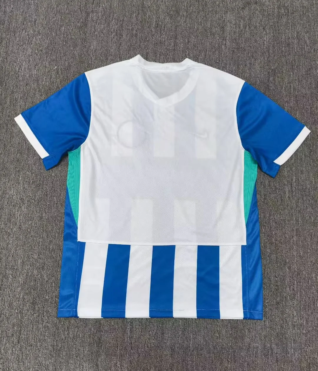 25-26 Brighton & Hove Albion Football Club Home Jersey | thai version | S-2XL | short-sleeved | 269