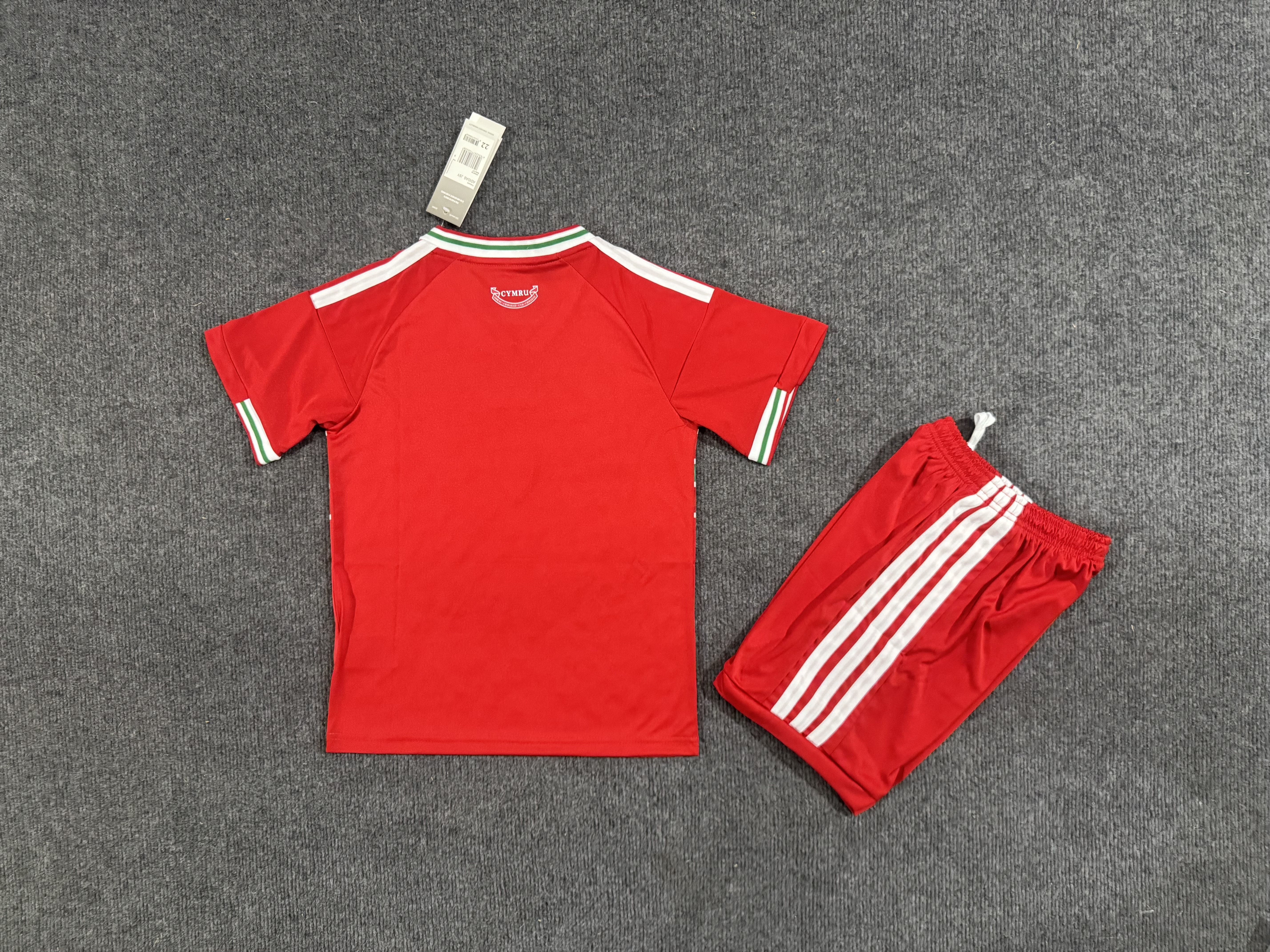 Kids Wales 2026  home  Soccer Jersey | short-sleeved | 507